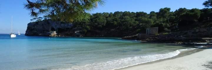 magda_cladera's profile banner image