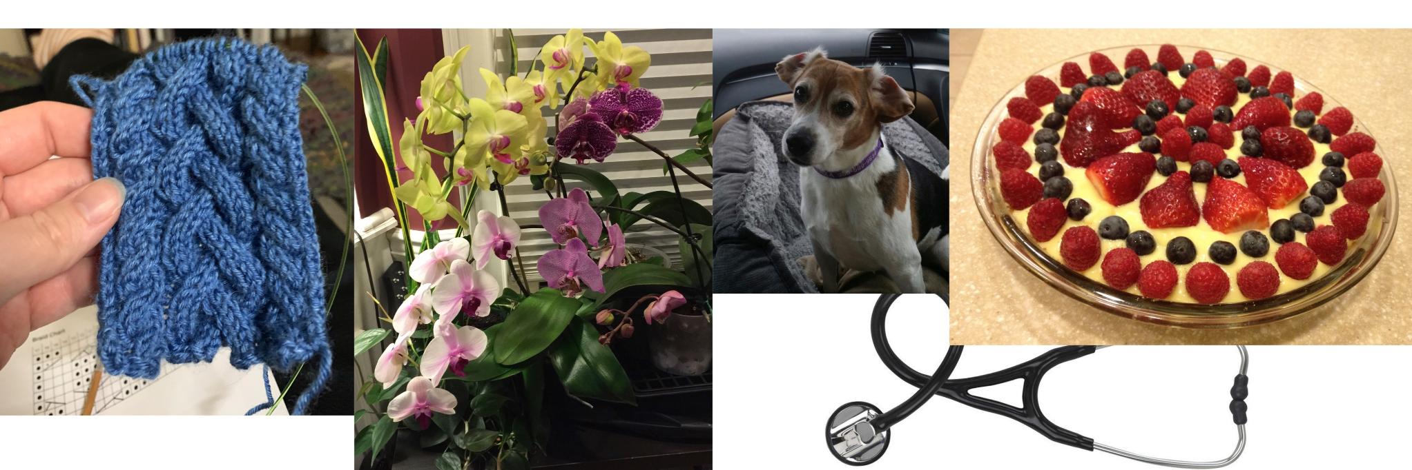 Dr. Angela Guzzetta banner