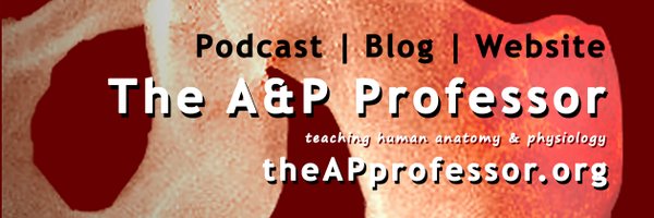 theAPprofessor Profile Banner