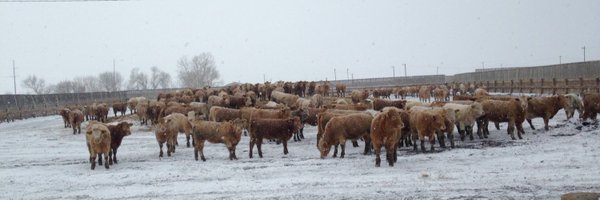 chaffe_evan Profile Banner