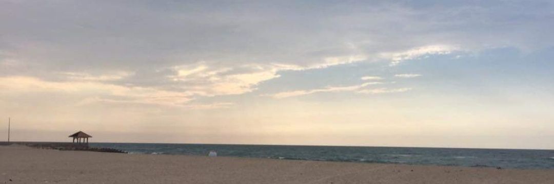 EmyElfar's profile banner image
