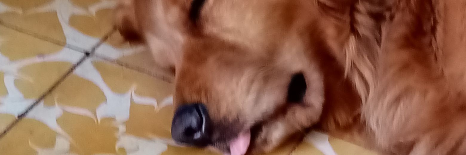 JulioAlbert05's profile banner image