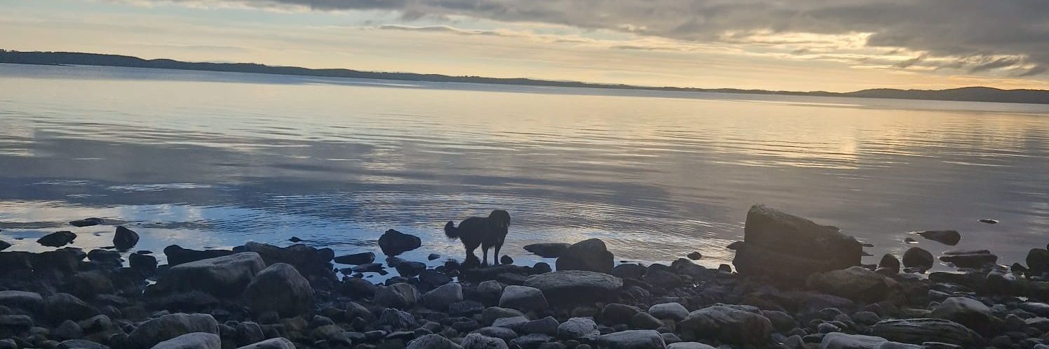 eilis_maloney's profile banner image