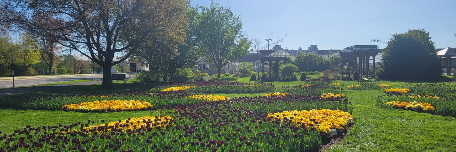 Dr. Mary Burrows banner
