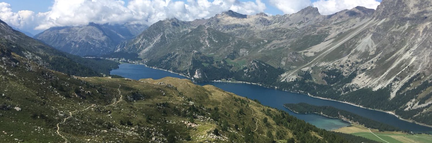 MESuccetti's profile banner image