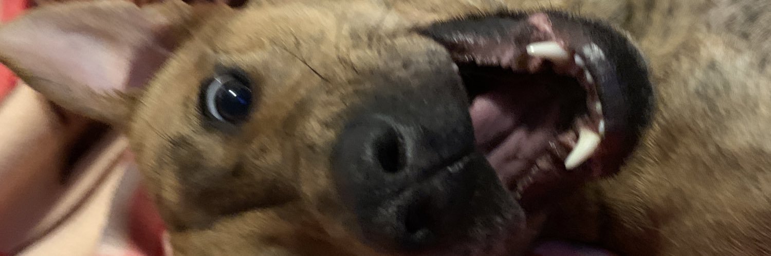 TheClaw98's profile banner image