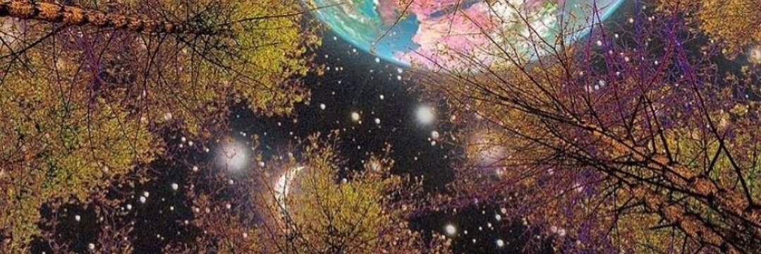 Shawna_Mathews's profile banner image