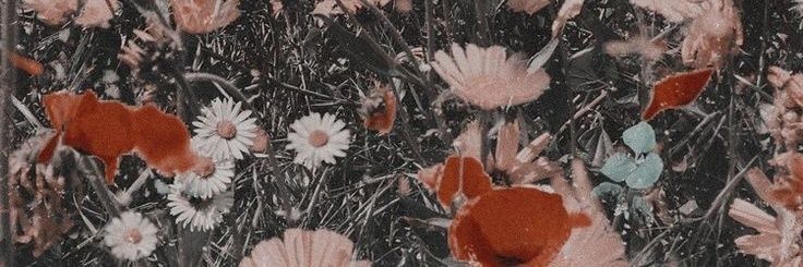 Oklitdead's profile banner image