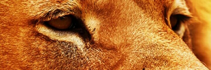 classyc001's profile banner image