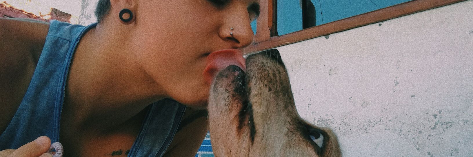 rounddeamor's profile banner image
