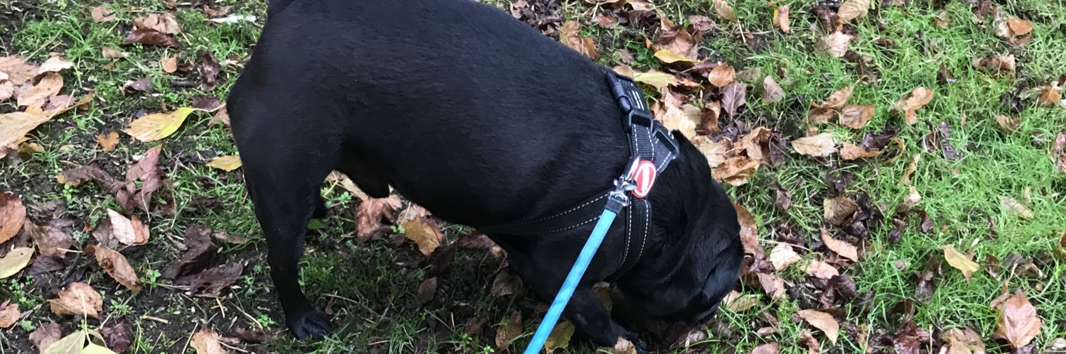 lukespollard's profile banner image