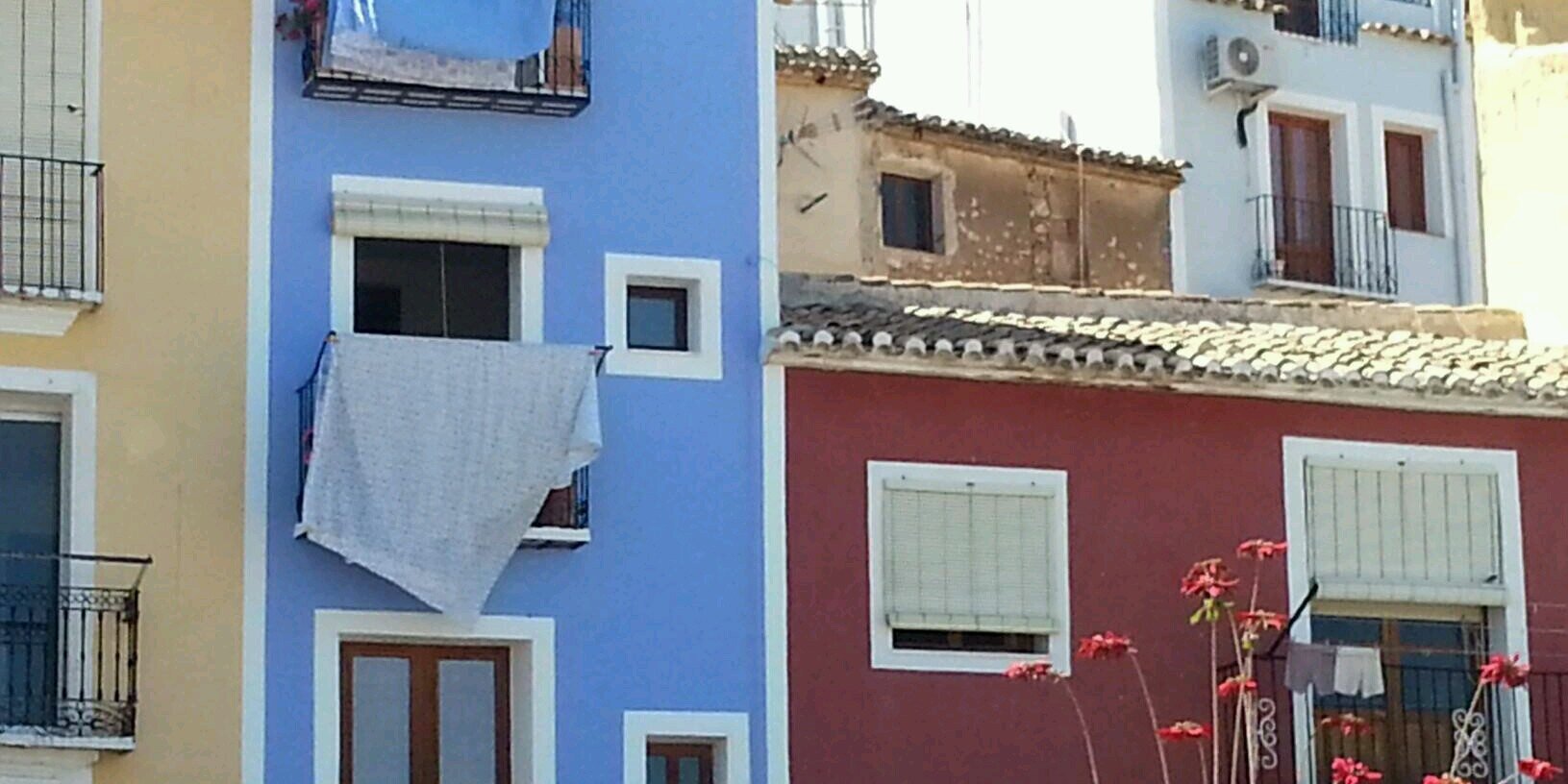 Conchi Cortés banner