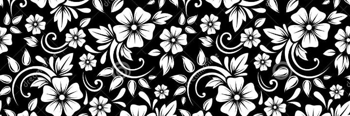 LuciMuuller's profile banner image