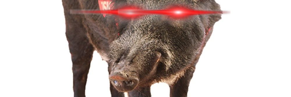 JonesZ's banner