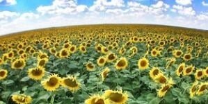karenyanz's profile banner image