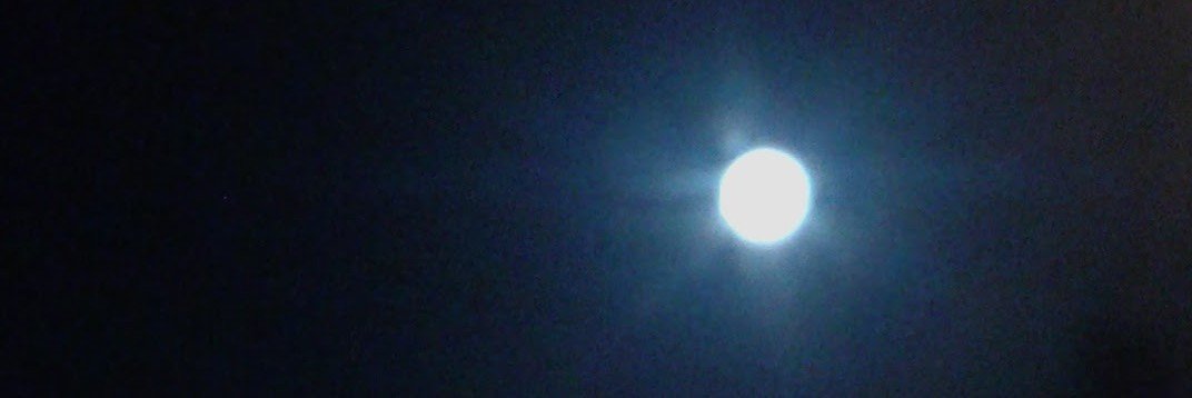 cucogon's profile banner image