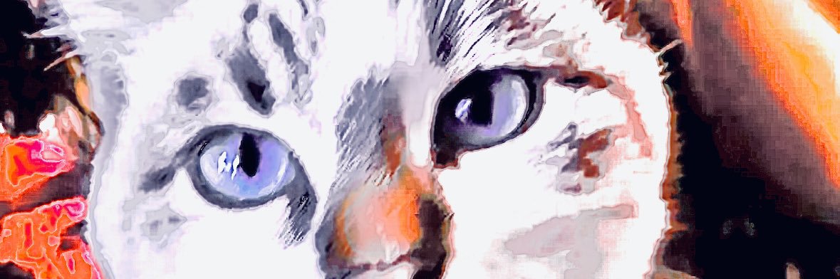 GodGoldenBullet's profile banner image