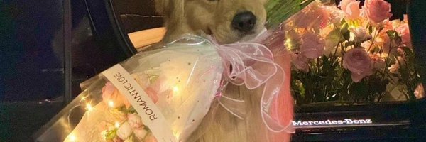 Ejiro_OS Profile Banner