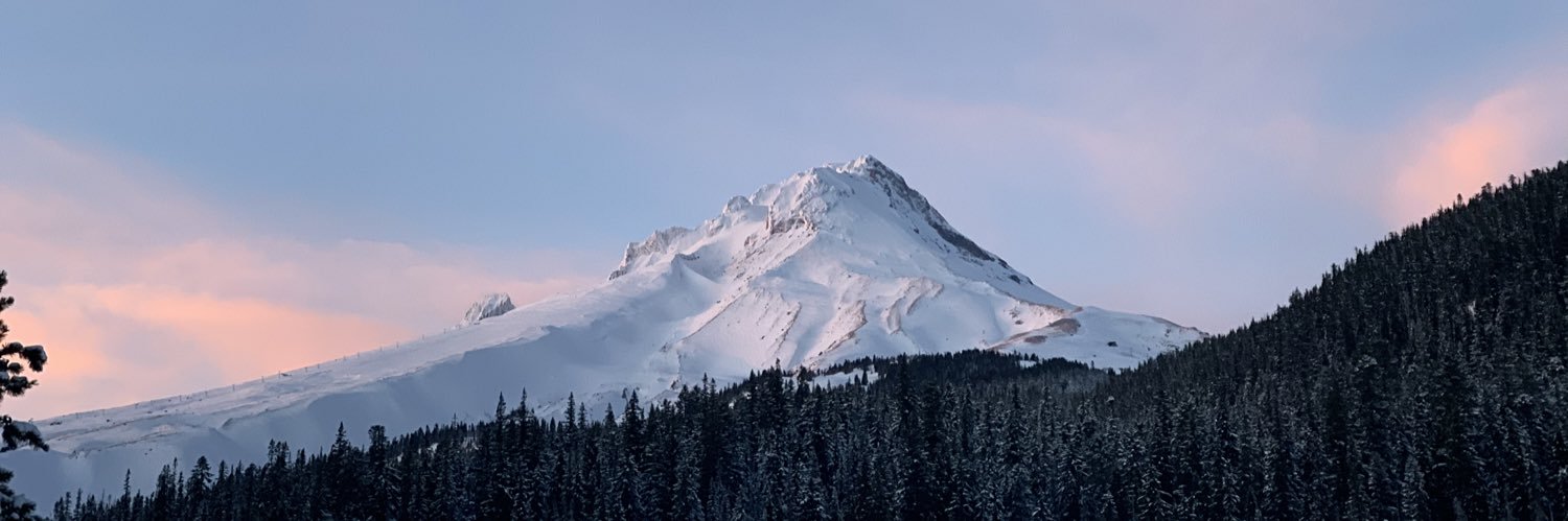 snow-capped sourpuss banner