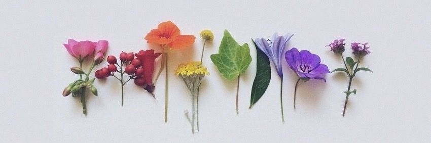 JessDCorte's profile banner image