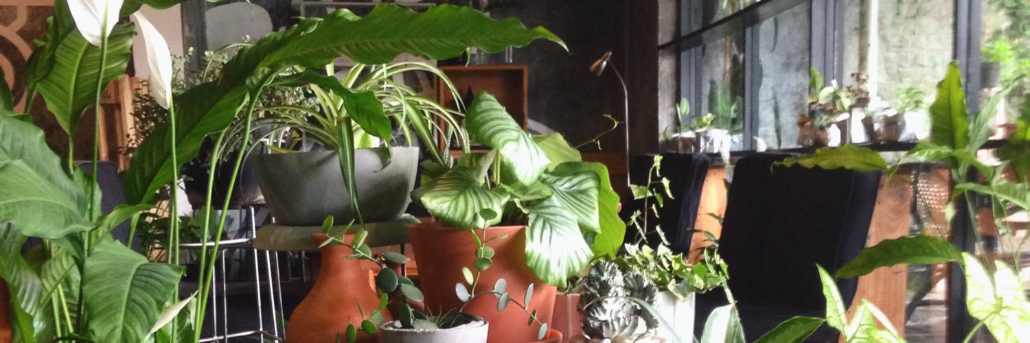KopiBeunta's profile banner image