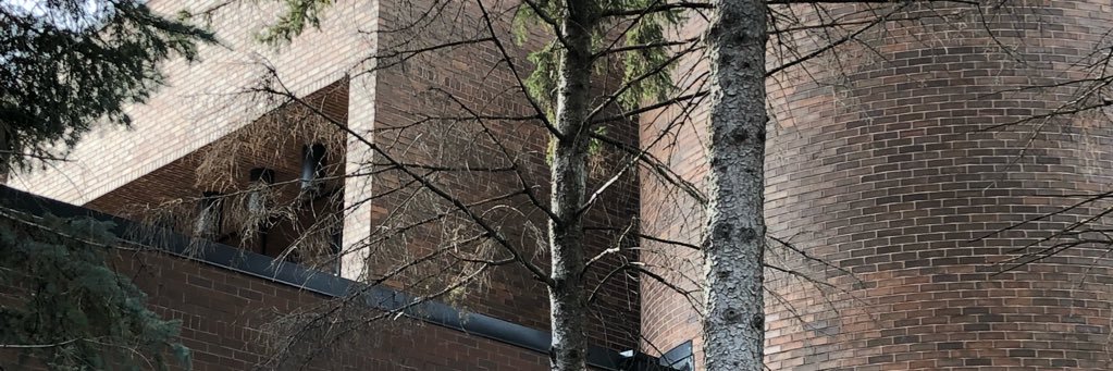 gustavuslibrary's profile banner image