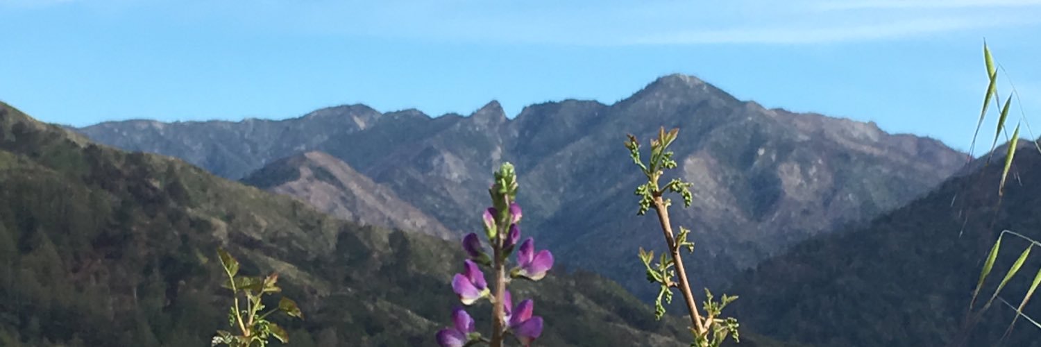 CampPicoBlanco's profile banner image