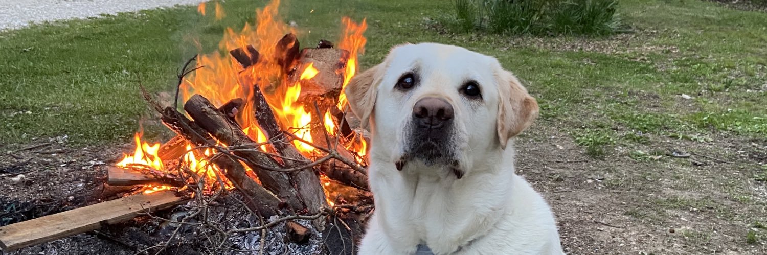 bbarks25's profile banner image