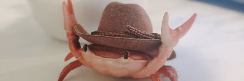 mandajsilva's profile banner image