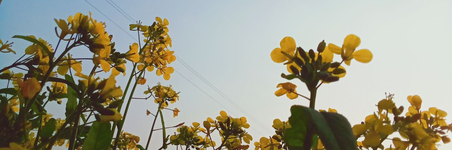 Hermit🌿🌷🍃🇧🇩 banner