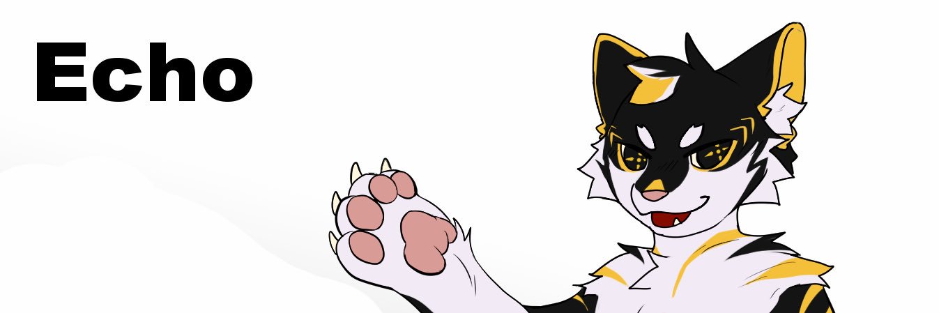 AnonymousEcho's banner