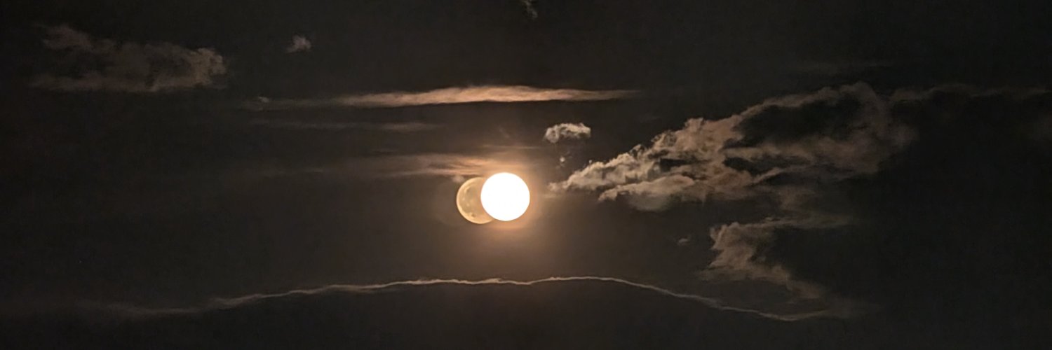 PlayerTiffy's profile banner image