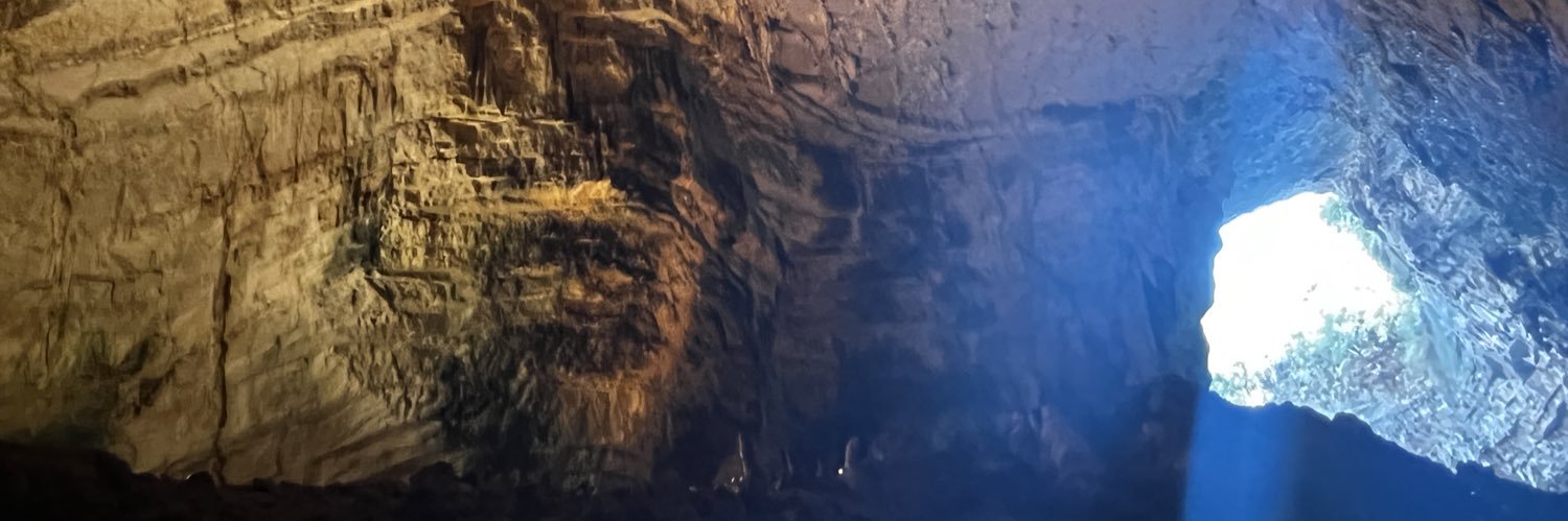 micorozone's profile banner image
