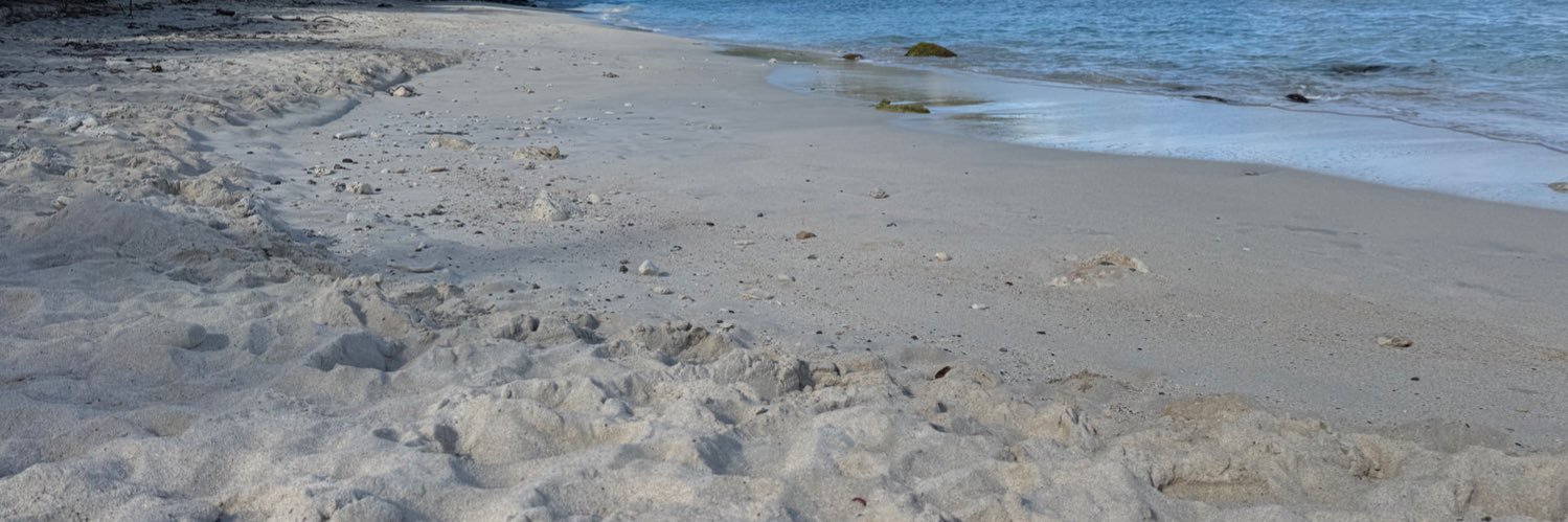 islandgirl's banner