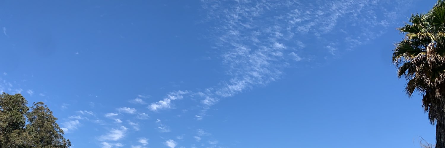 Isidoraschp's profile banner image
