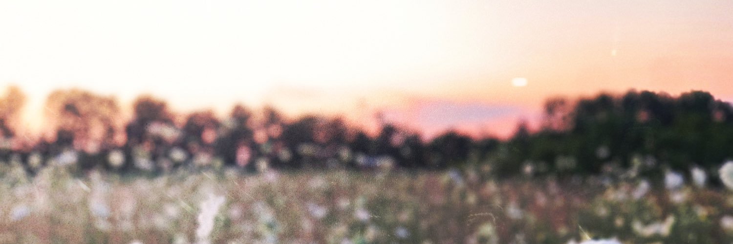 kellymcquade1's profile banner image