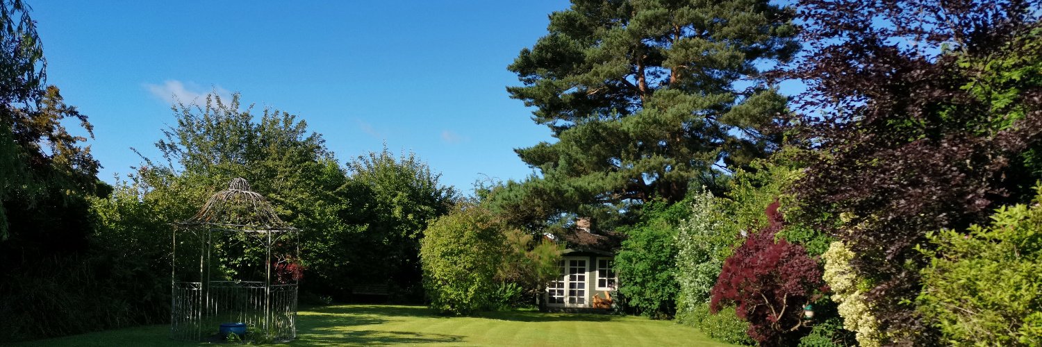 Daniel Fuller-Smith banner