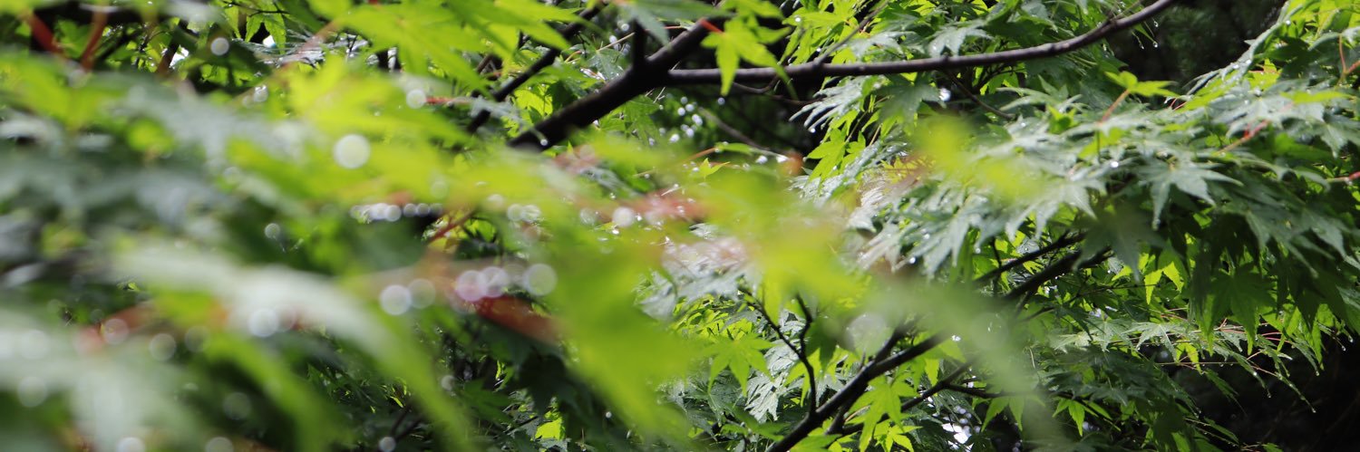 1rh_bf's profile banner image