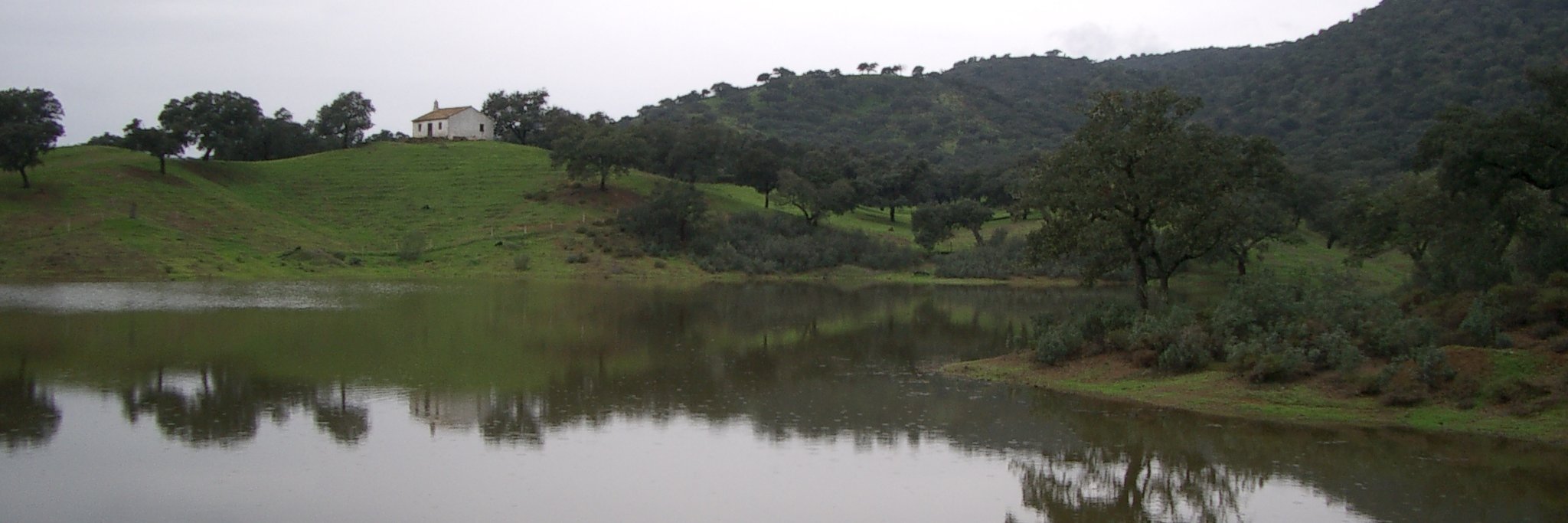 Rogelio Luque-Lora banner