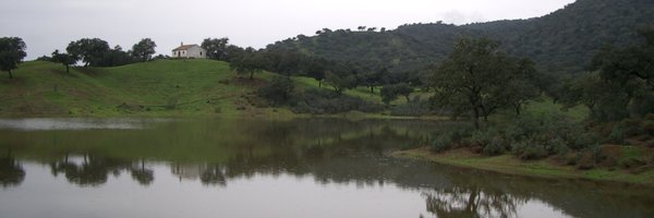 rogeluque Profile Banner