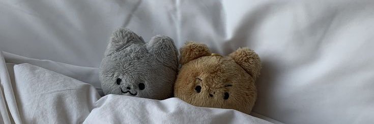 B🧸 banner