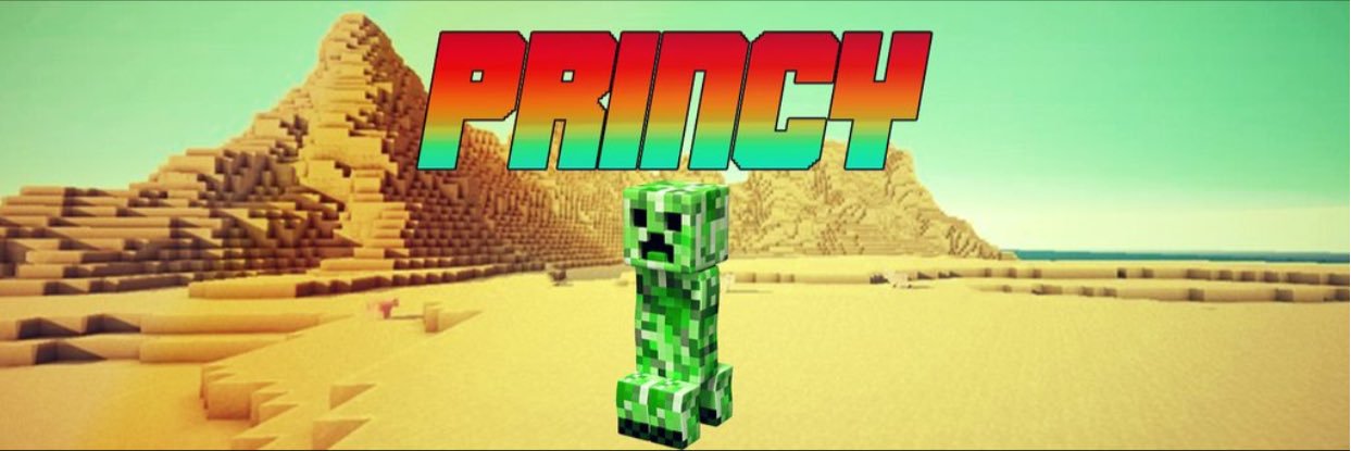 PrincySurYTB's profile banner image