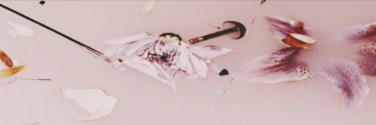 dopehrry's profile banner image