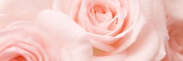 _RMOx's profile banner image