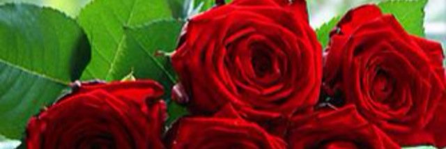 So05580's profile banner image