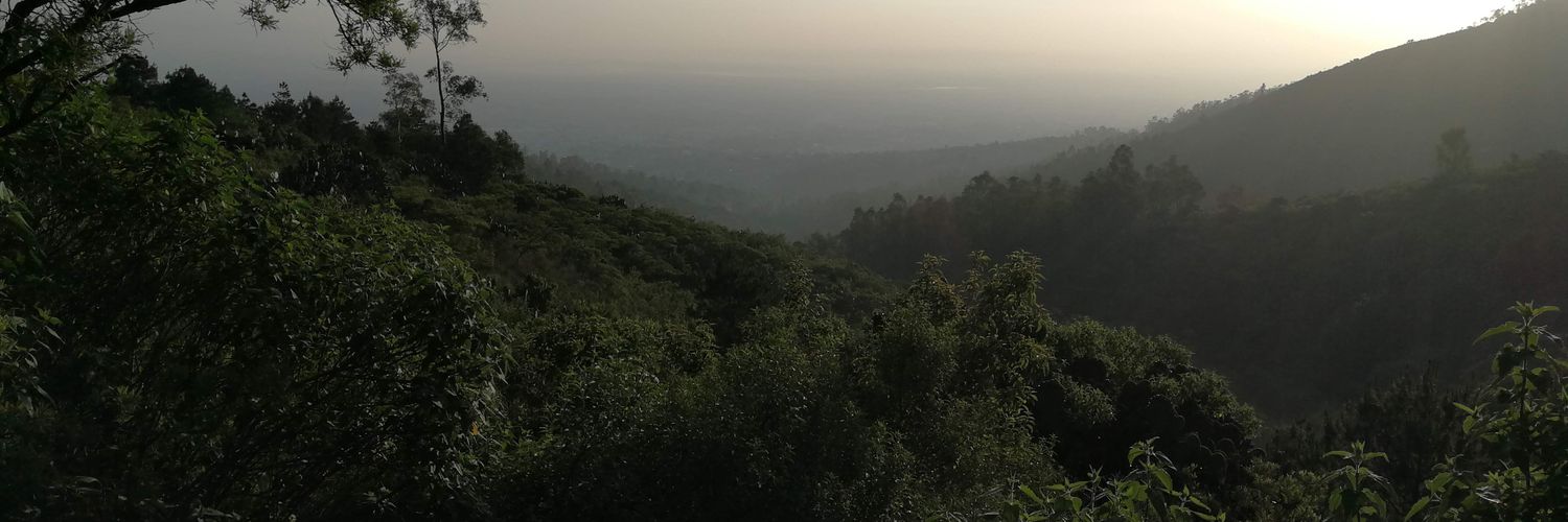 DF1900's profile banner image