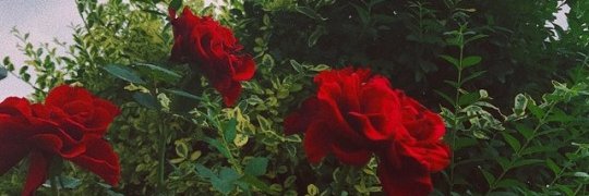 KyleXY94's profile banner image