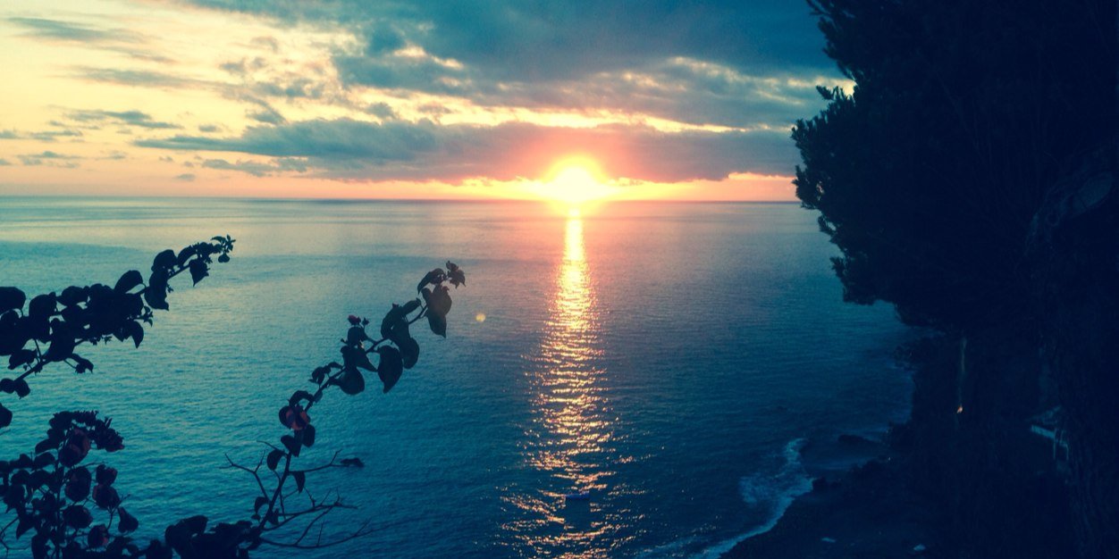 sunvlc's profile banner image