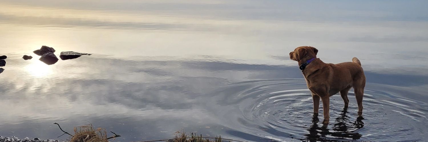 hduncan606's profile banner image