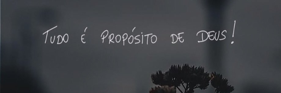 Larissa Nascimento banner